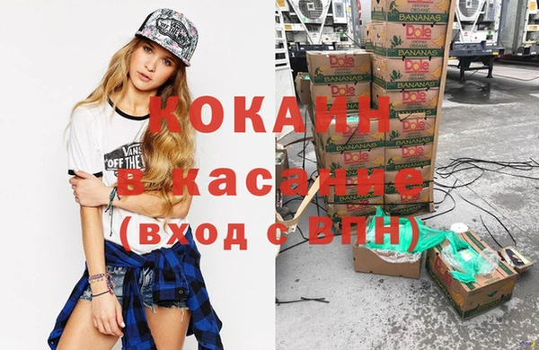 spice Бородино
