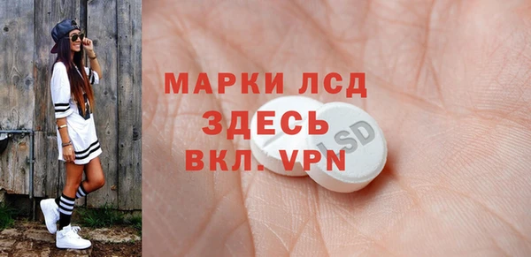 spice Бородино