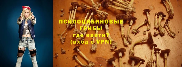 spice Бородино