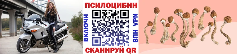 Галлюциногенные грибы Cubensis  Ковылкино 